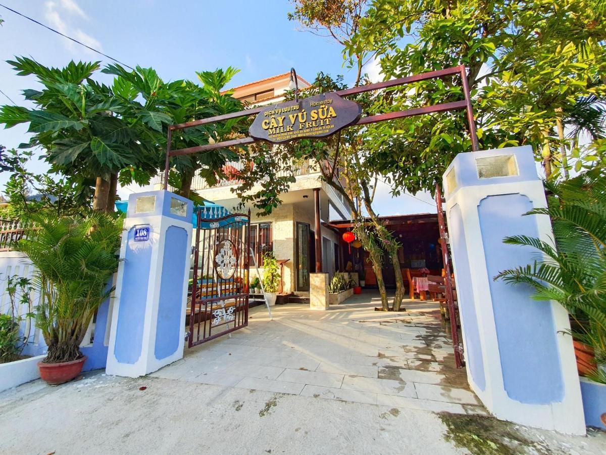 Milk Fruit Homestay - An Bang Beach Хоян Екстер'єр фото